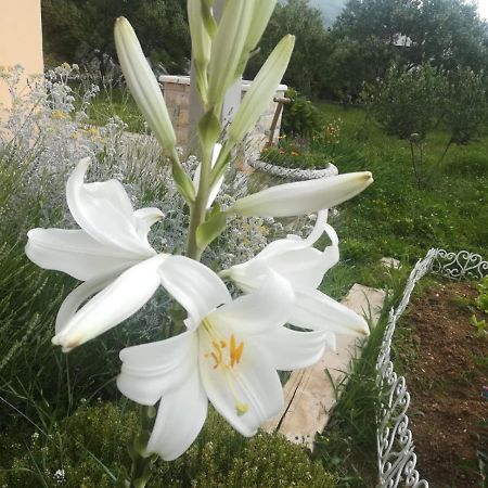Castello Flower Apartment คาชเตลา ภายนอก รูปภาพ