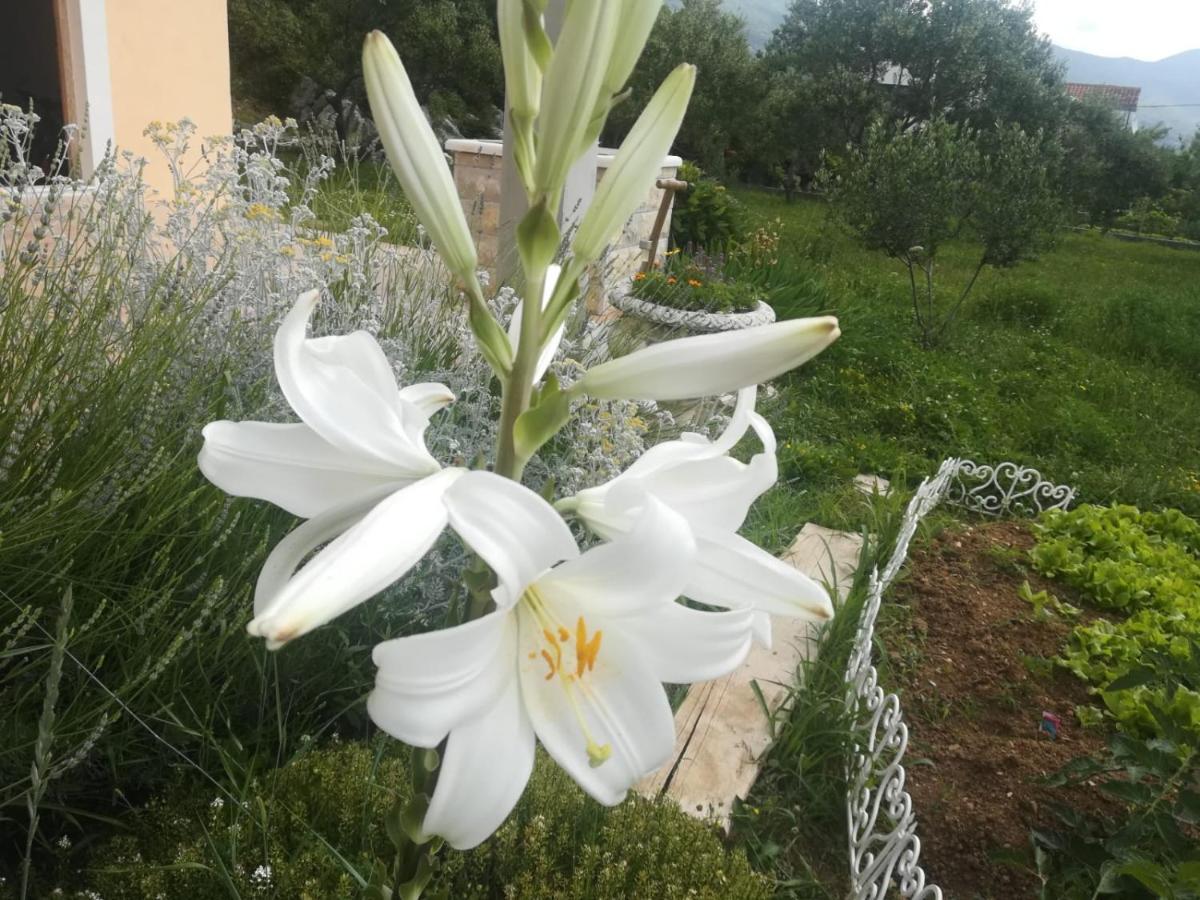 Castello Flower Apartment คาชเตลา ภายนอก รูปภาพ