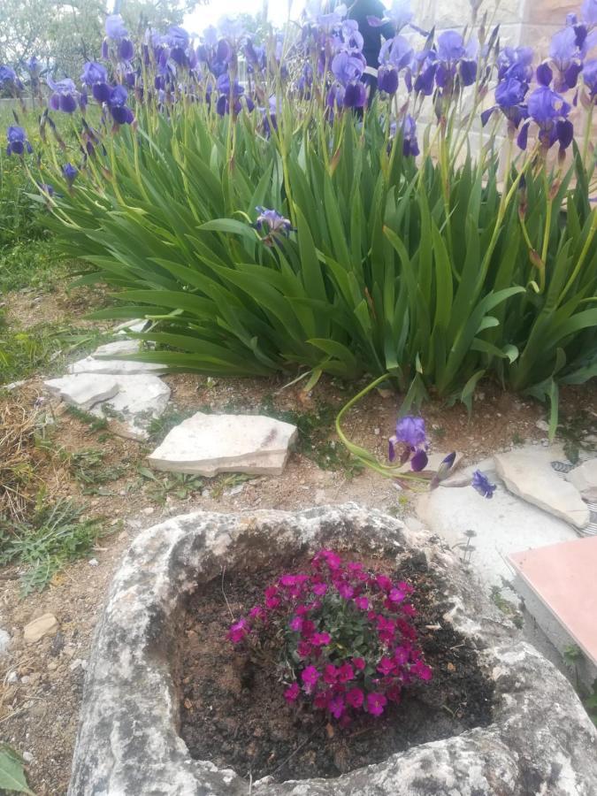 Castello Flower Apartment คาชเตลา ภายนอก รูปภาพ